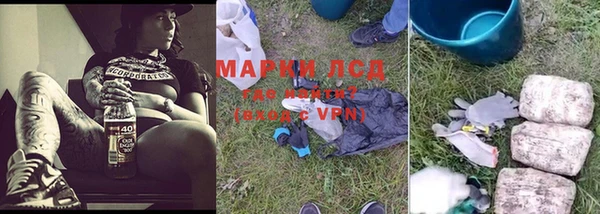 apvp Алексин