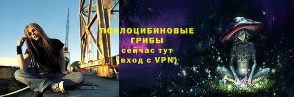 гидра Алзамай