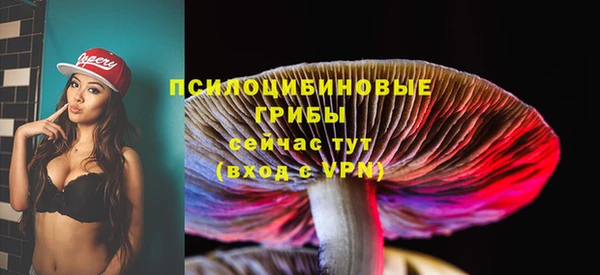 apvp Алексеевка